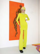 Mini Turtleneck Dress