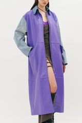 The Other Coat