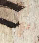 Wide Leg Crushed Silk Trouser