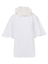 Dartless Seraph Sleeve